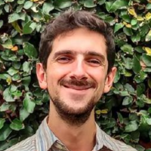Luca Traverso