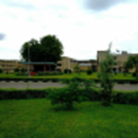 Copperbelt University logo