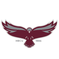 The University of Maryland Eastern Shore logo