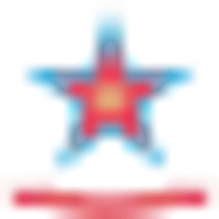 University of Delhi (St. Stephen's College) logo