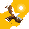 Anomalous Eagle