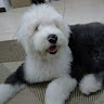 Ricardo Lo