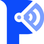 Paladin Cyber logo