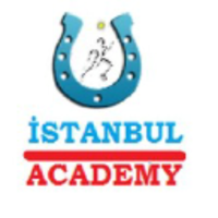 Istanbul Academy logo