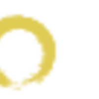 SatoriXR logo