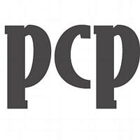 Professional Civil Process logo