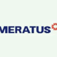 Meratus Group logo