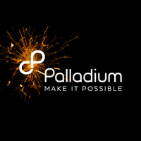 The Palladium Group, LLC. logo
