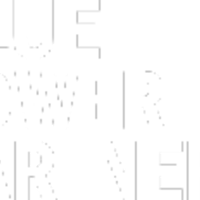 Blue Power Partners logo