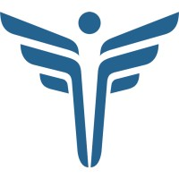 FEI Systems logo