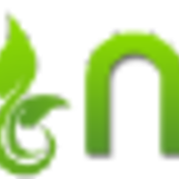 Braindigit logo