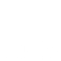 Mindelligent.com logo
