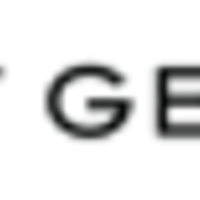Kurt Geiger logo