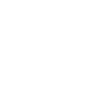 Synergy Services logo