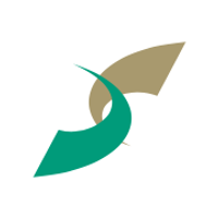 IT CONSULTIS logo