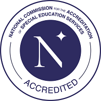 SV Academy logo