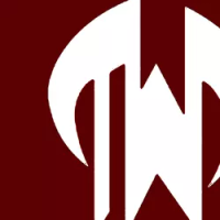 Tolunay Wong Engineers  logo