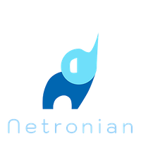 Netronian Inc. logo