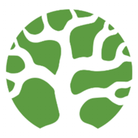 Bonsai logo