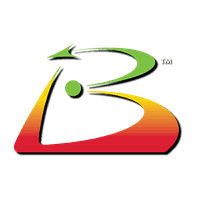 Balanced Scorecard Institute logo