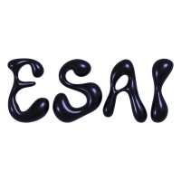 esai.ai logo