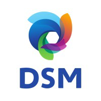 DSM