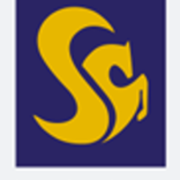 Srinivas University logo