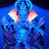Kumar Kodi