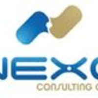 Nexo Consulting Group logo