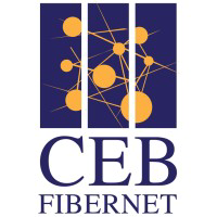 Central Electricity Board logo
