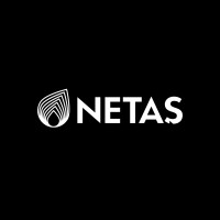 Netaş logo