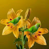 S, Tejaswini 465