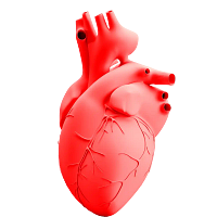 Tricog Health India logo