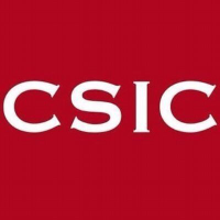 CSIC logo