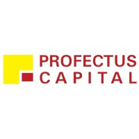Profectus Capital Private Limited logo