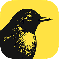 Birch logo