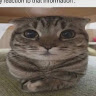 Юля User