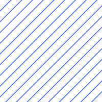 Lakeside Software logo