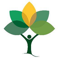 Light Hall School logo