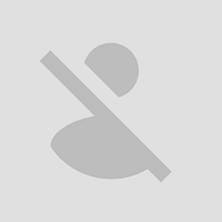 Braven logo