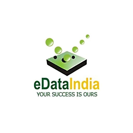 eDataIndia logo
