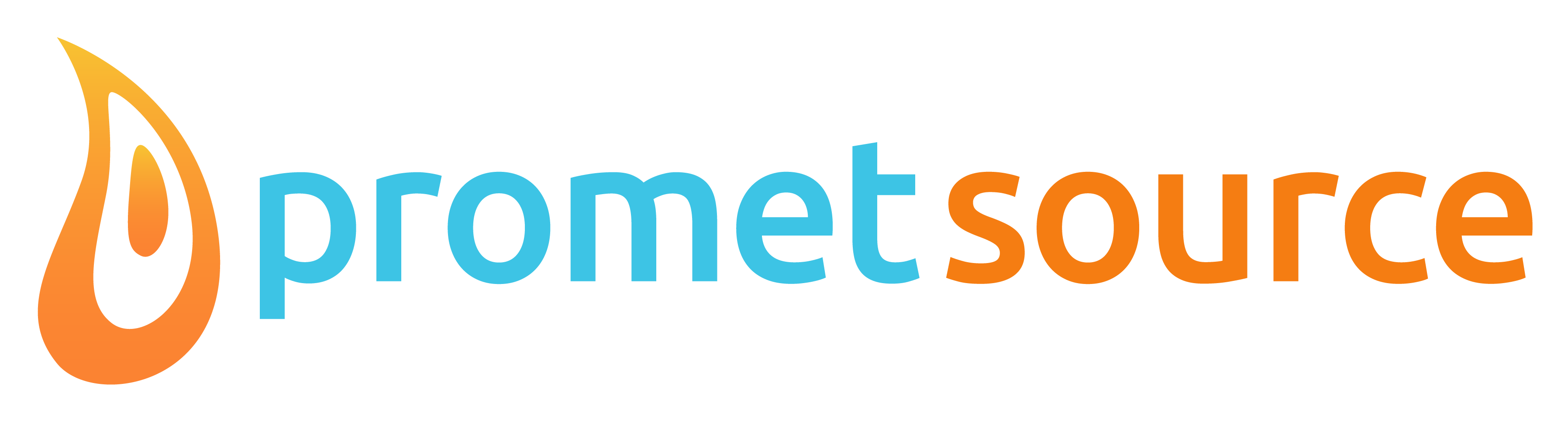 Promet Source logo