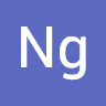 Ng Haiwei