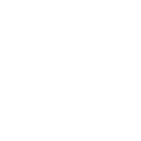 Pubity Group Ltd logo