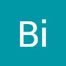 Bi Li