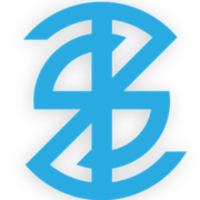 The Z Strategist      logo