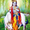 Ushha kiraann Singanamala