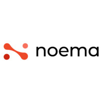 Noema Consulting logo