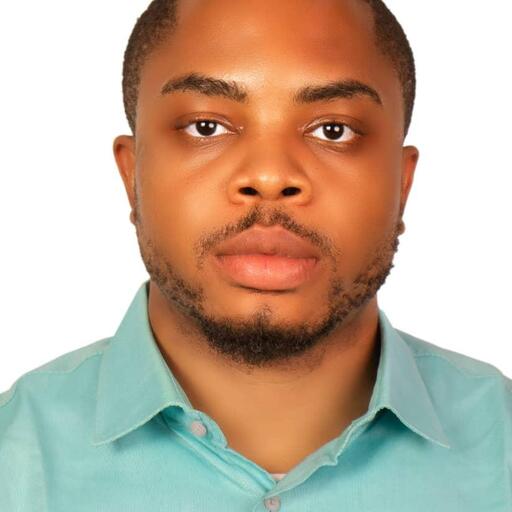 nnamdi chisom