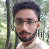 Ameer Hamza